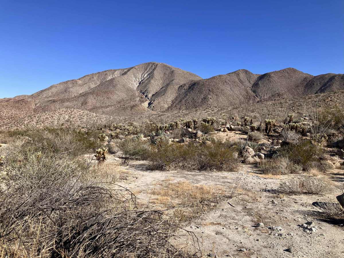 Pinyon Canyon photo 5