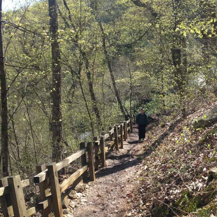 Near Humpback Rocks Loop