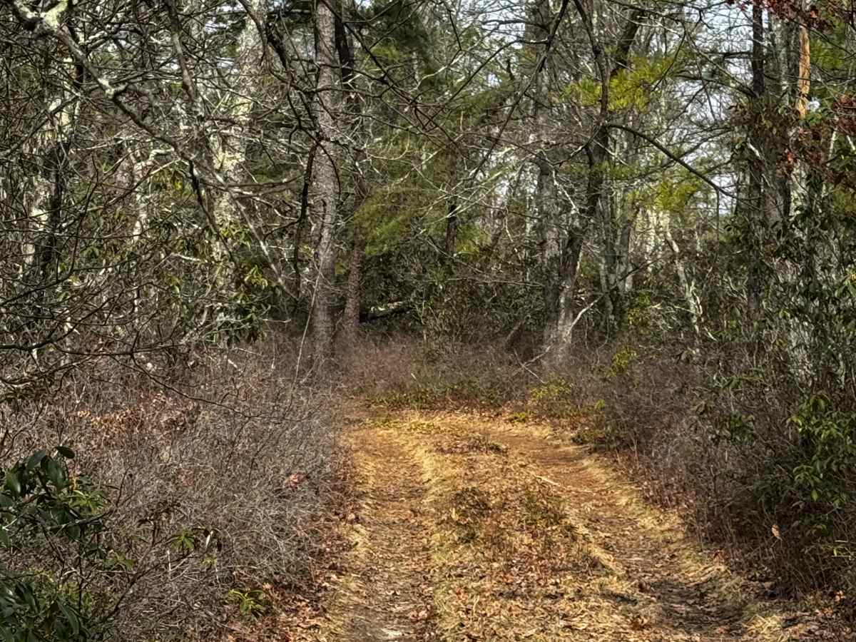 Tuckers Trail photo 3