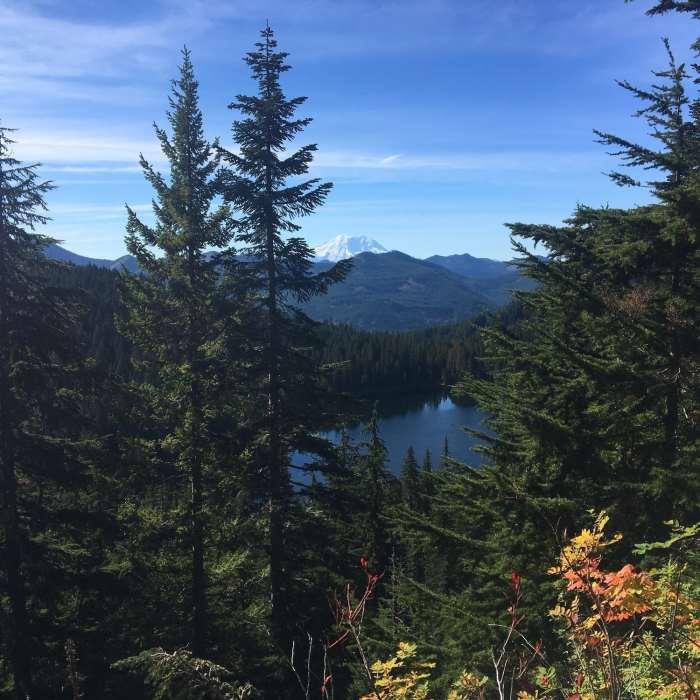 Near Pratt Lake Trail #1007