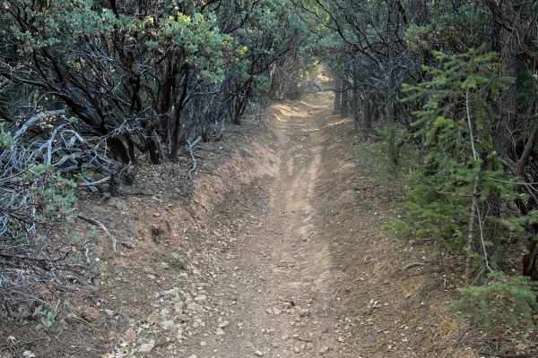 Trail 4-1 (11E35) 