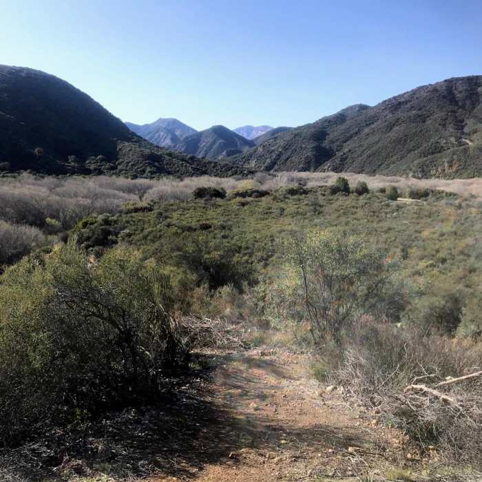 Near Cold Spring Loop