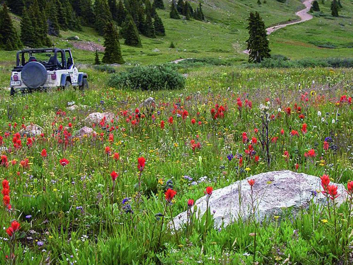 Mosquito Pass photo 4