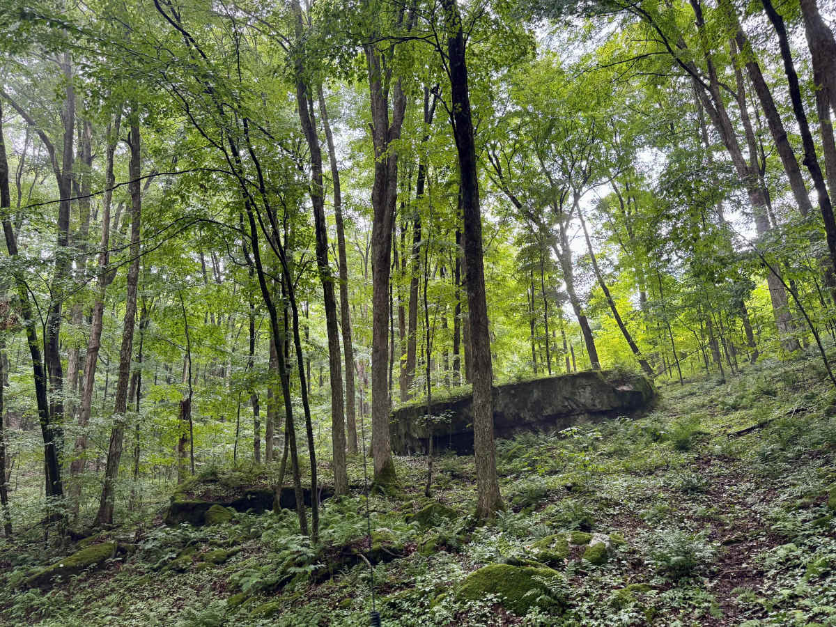 Sawyer Run - FS 735 photo 6