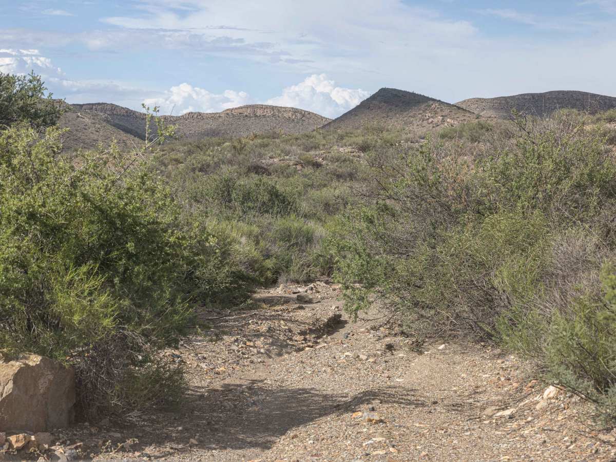 BBRSP Yadre Road trail photo