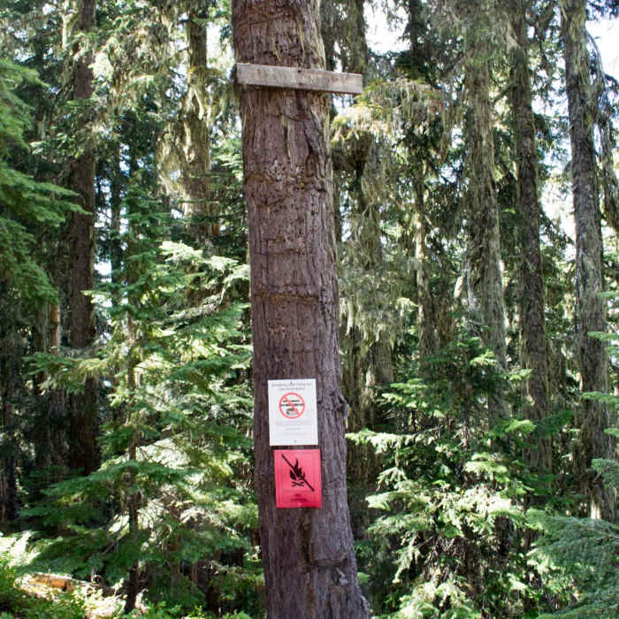 Near Bohemia Mountain Trail