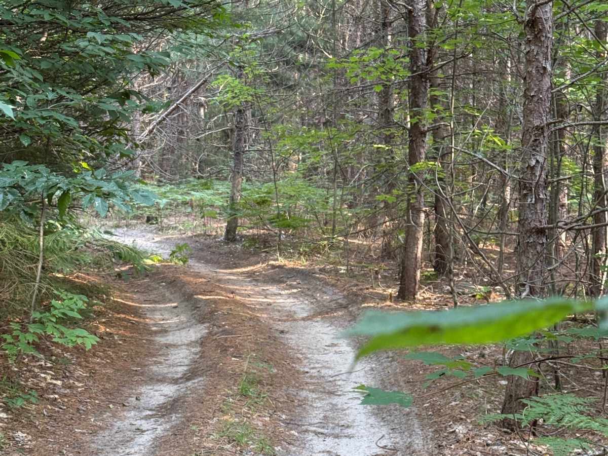 3 Powerline Trail trail photo