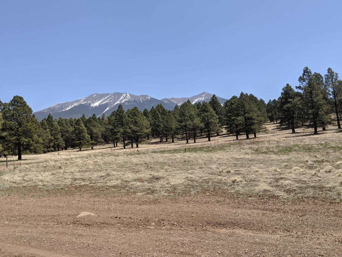 9001L Road trail photo