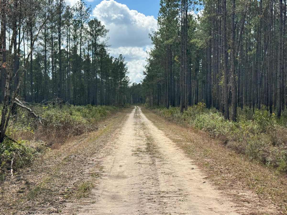 Hinson Road photo 5