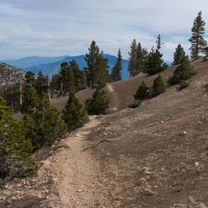 Near San Gorgonio Peak