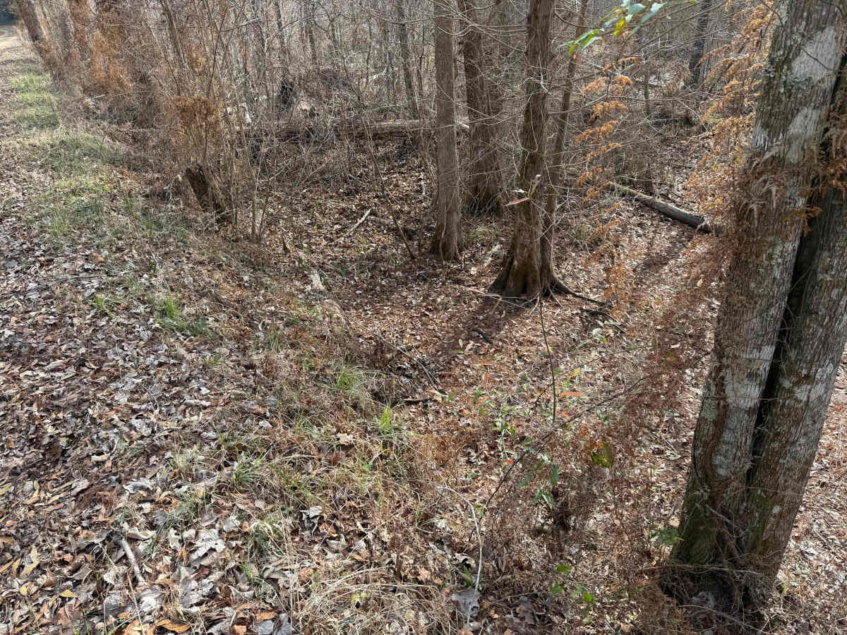 Flat Hole Loop photo 5