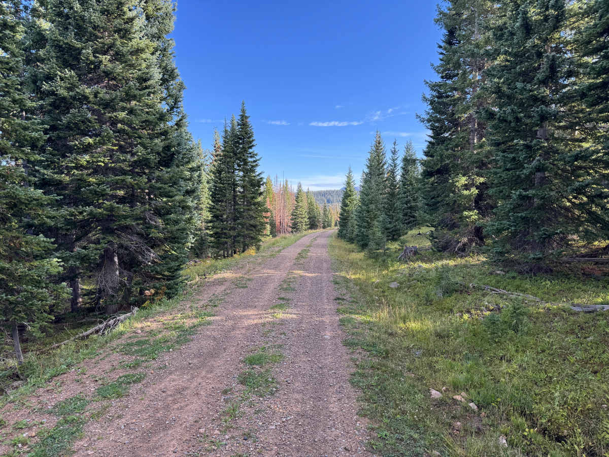 Pothole Road photo 3