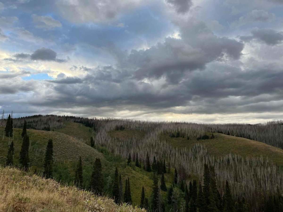 East Fork Ridge photo 2