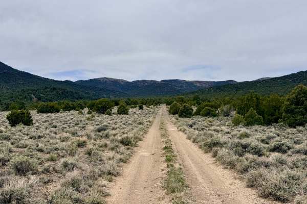 Trail Canyon - FS 43312