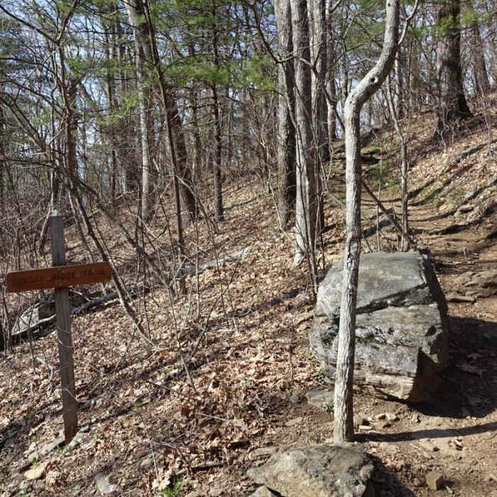 Near Blood Mountain Loop