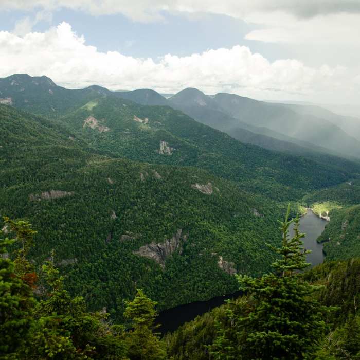 Near Colvin and Blake