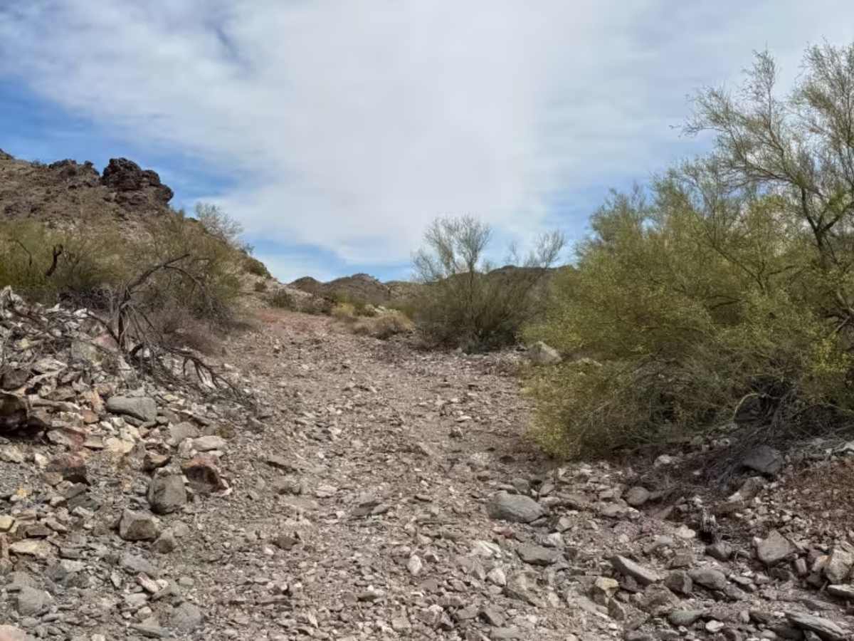 BLM 0127C trail photo