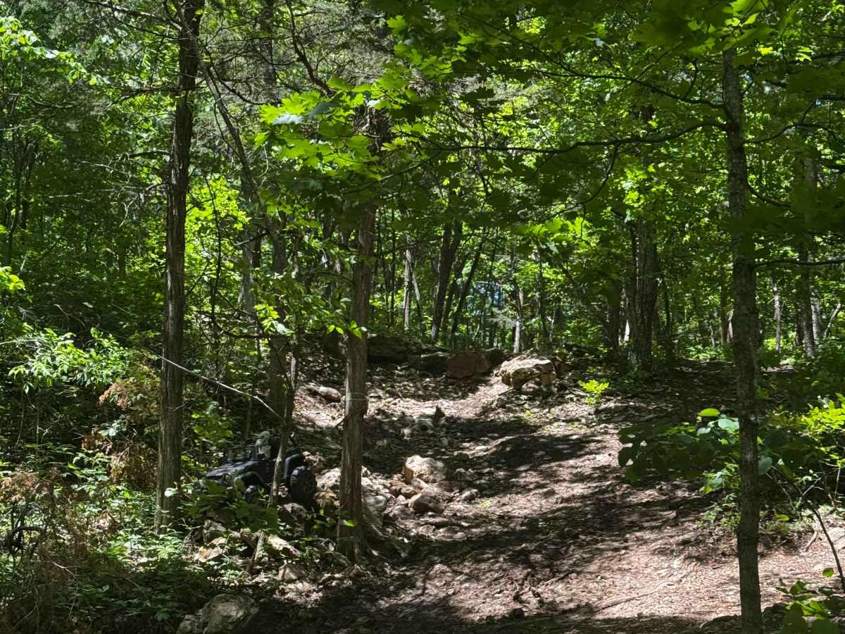 Finn's Muff trail photo