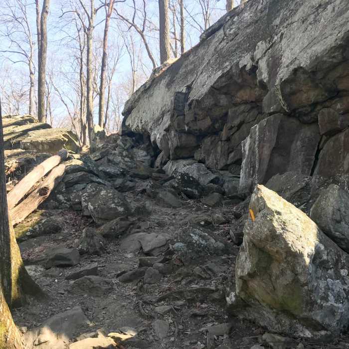 Near Cunningham Falls Out-and-Back