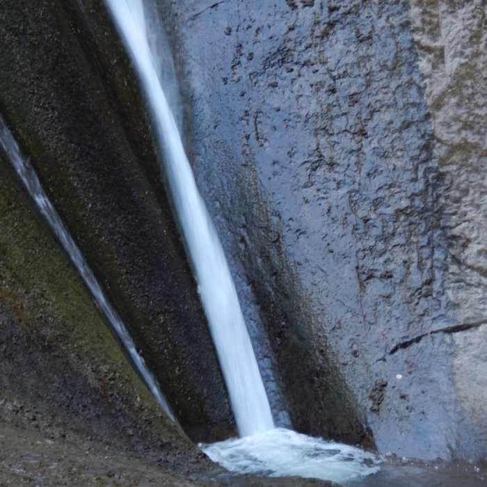 Near Wolf Creek Falls Trail