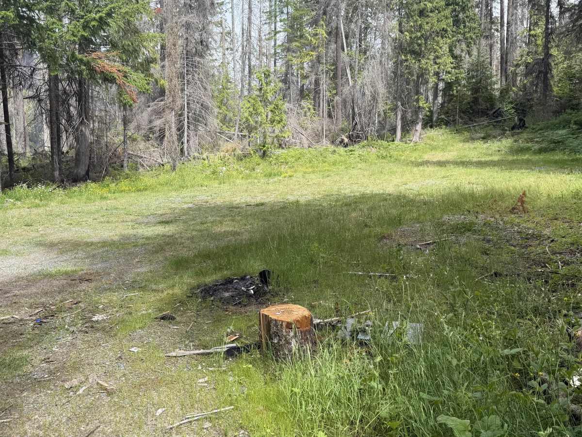 Lake Creek - FS 1266000 photo 2