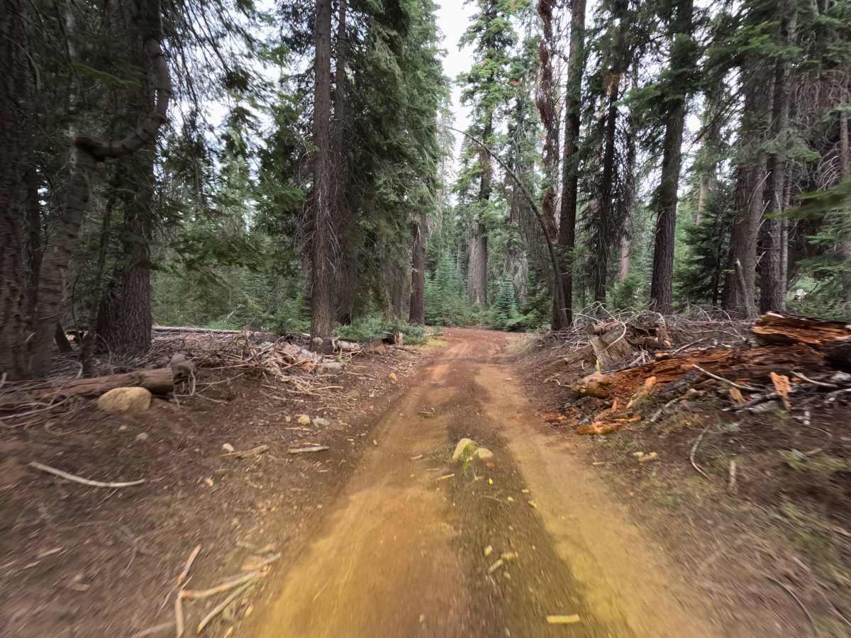 East Fork Chiquito Creek - FS 5S011 trail photo