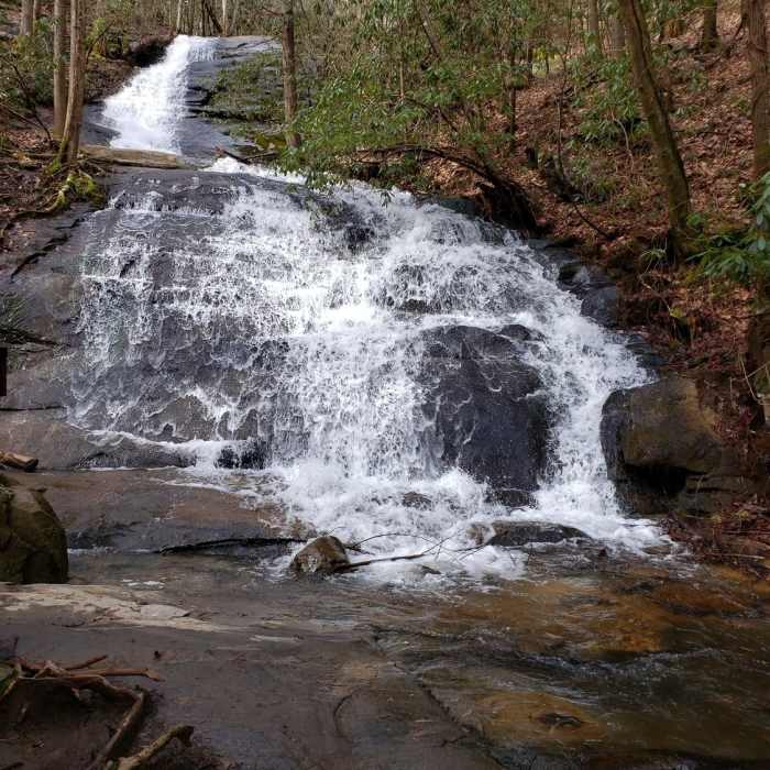Near Fall Branch Falls Out-and-Back