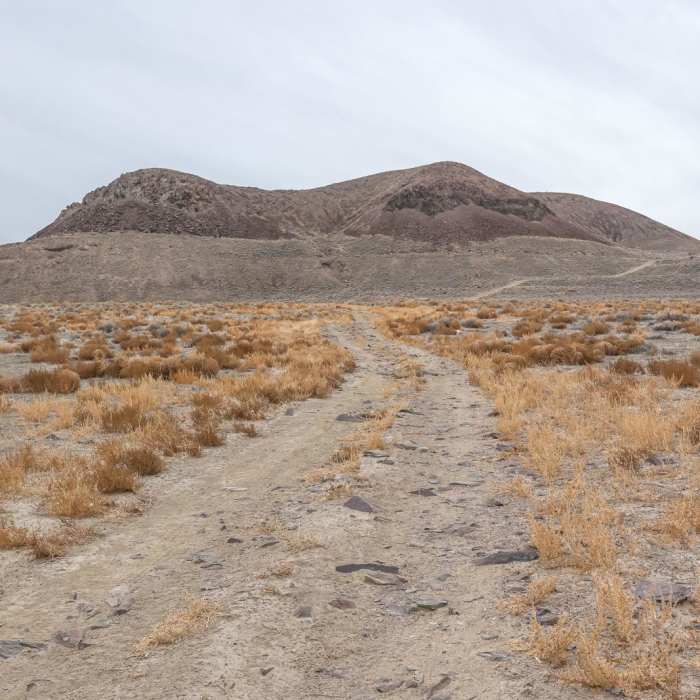 Near Lone Mountain Summit