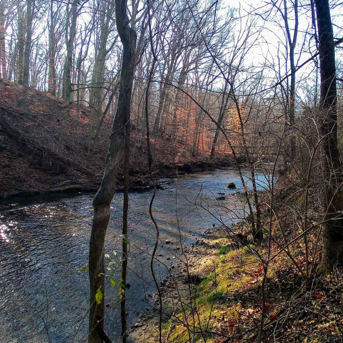 Walking along the Penndel Trail on Winter Solstice. Near Triple Entente: Edwin Leid Trail to PennDel Trail to Vaughn's Trail