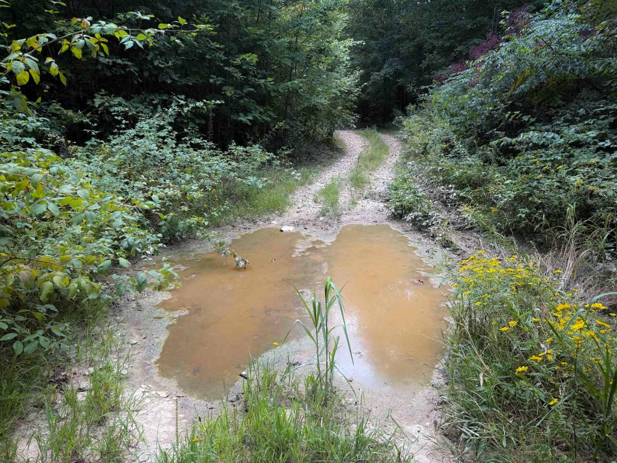 Round Mountain Trail photo 6
