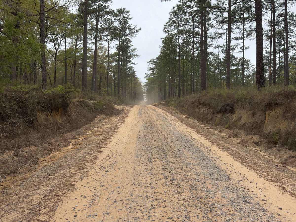 Charlie Foster Road photo 4