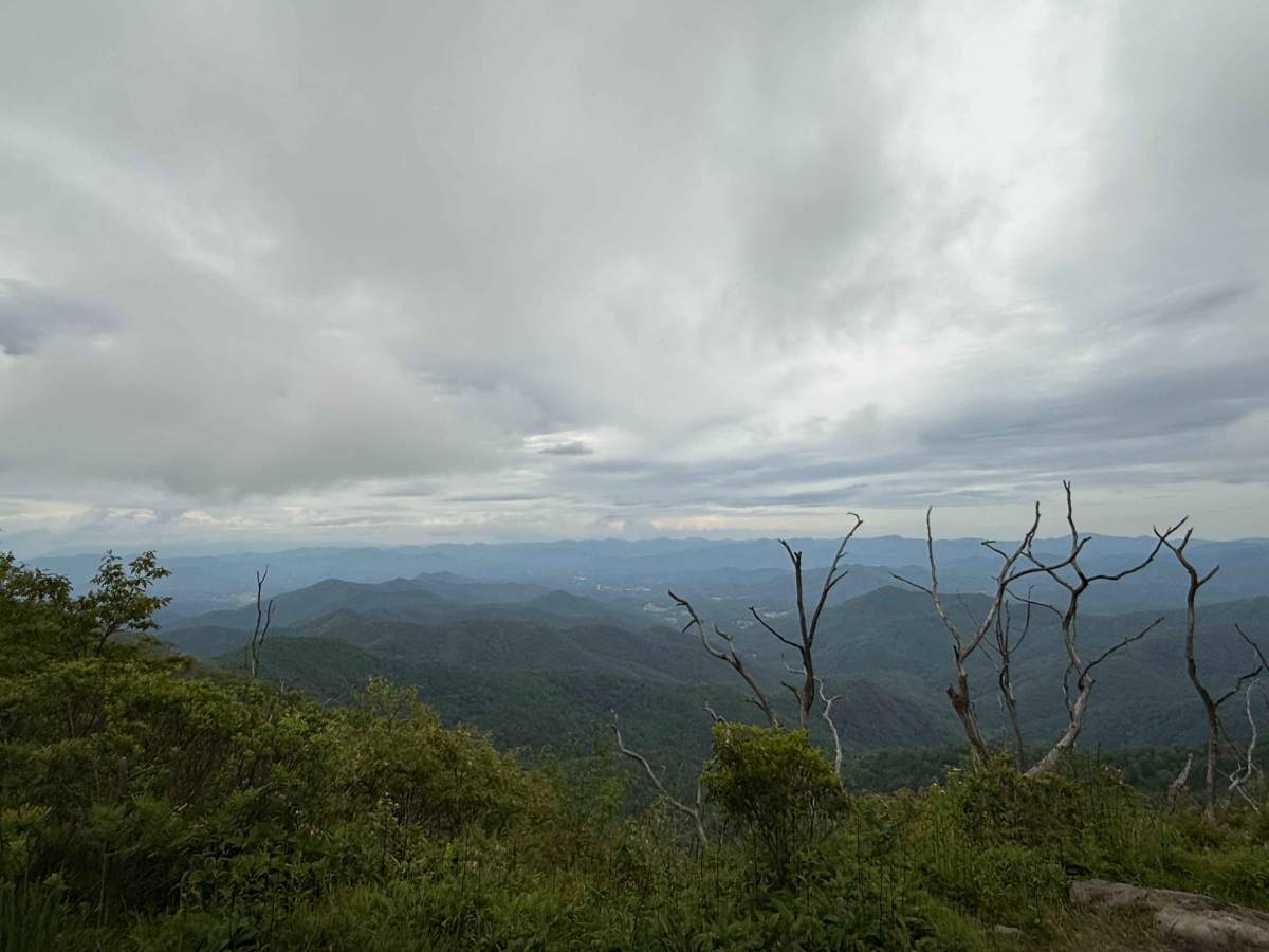 Wayah Bald  trail photo