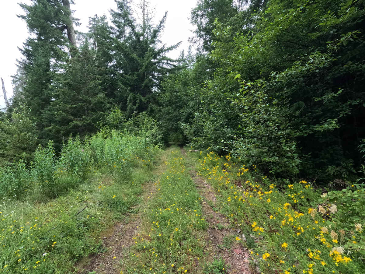 FS 2352400 photo 2