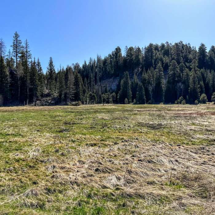 Near Arizona Trail Passage 39: Grand Canyon - North Rim