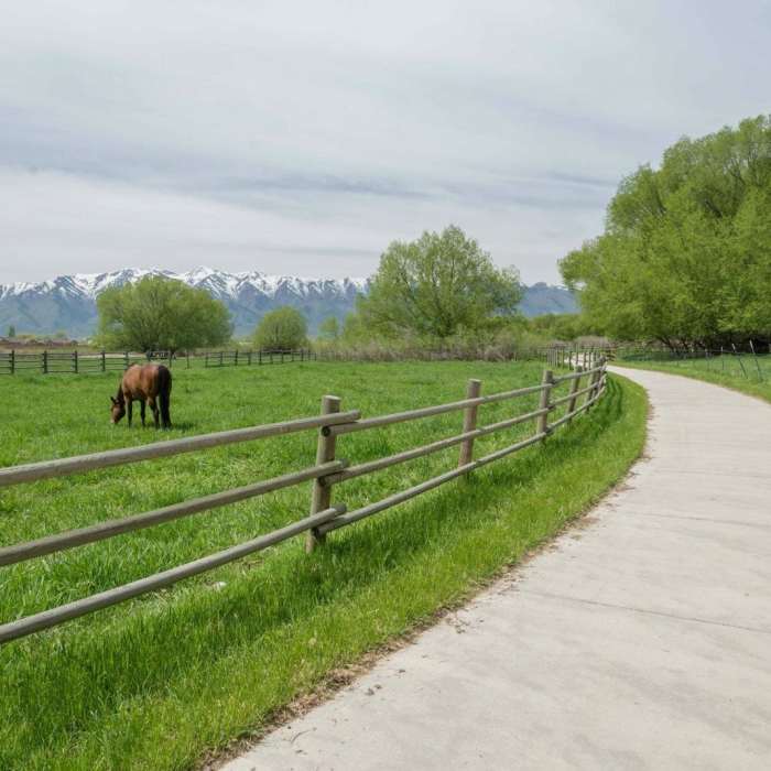Near Trapper Park Trail