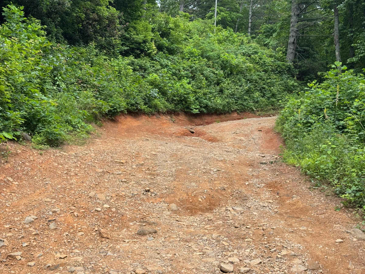Charlies Creek Road photo 4