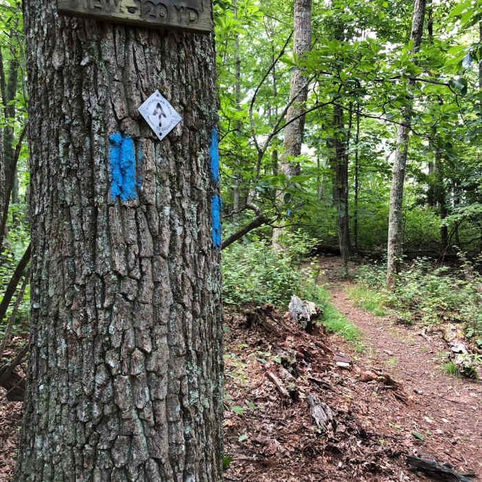 Near Kelly Knob Out and Back