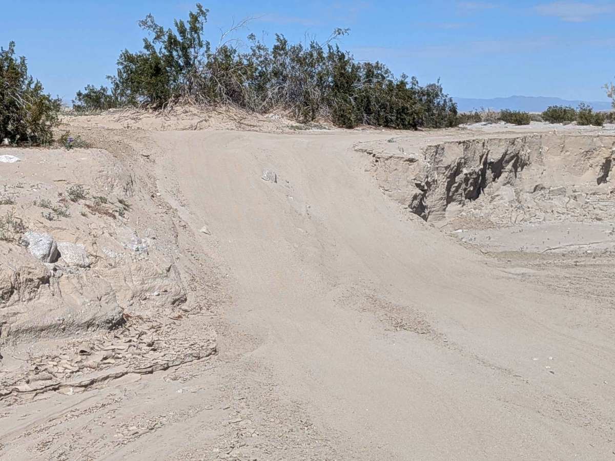 BLM 077 photo 4