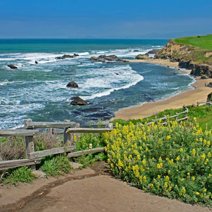 Beach, rocks, and golf course from trail on north side of the Ritz Carlton Hotel. Near Coast Trail: Half Moon Bay to Cowell Ranch