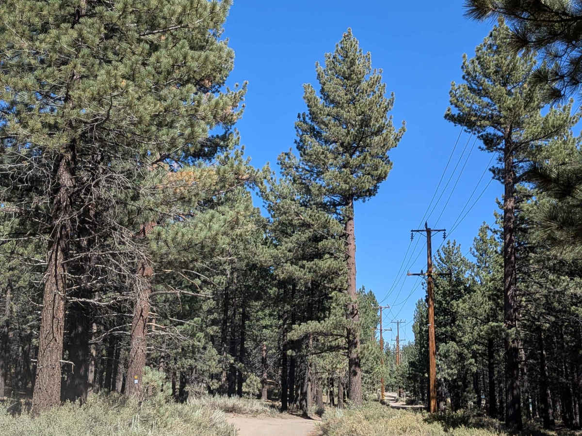 Mammoth Knolls Loop FS 3S123 photo 3