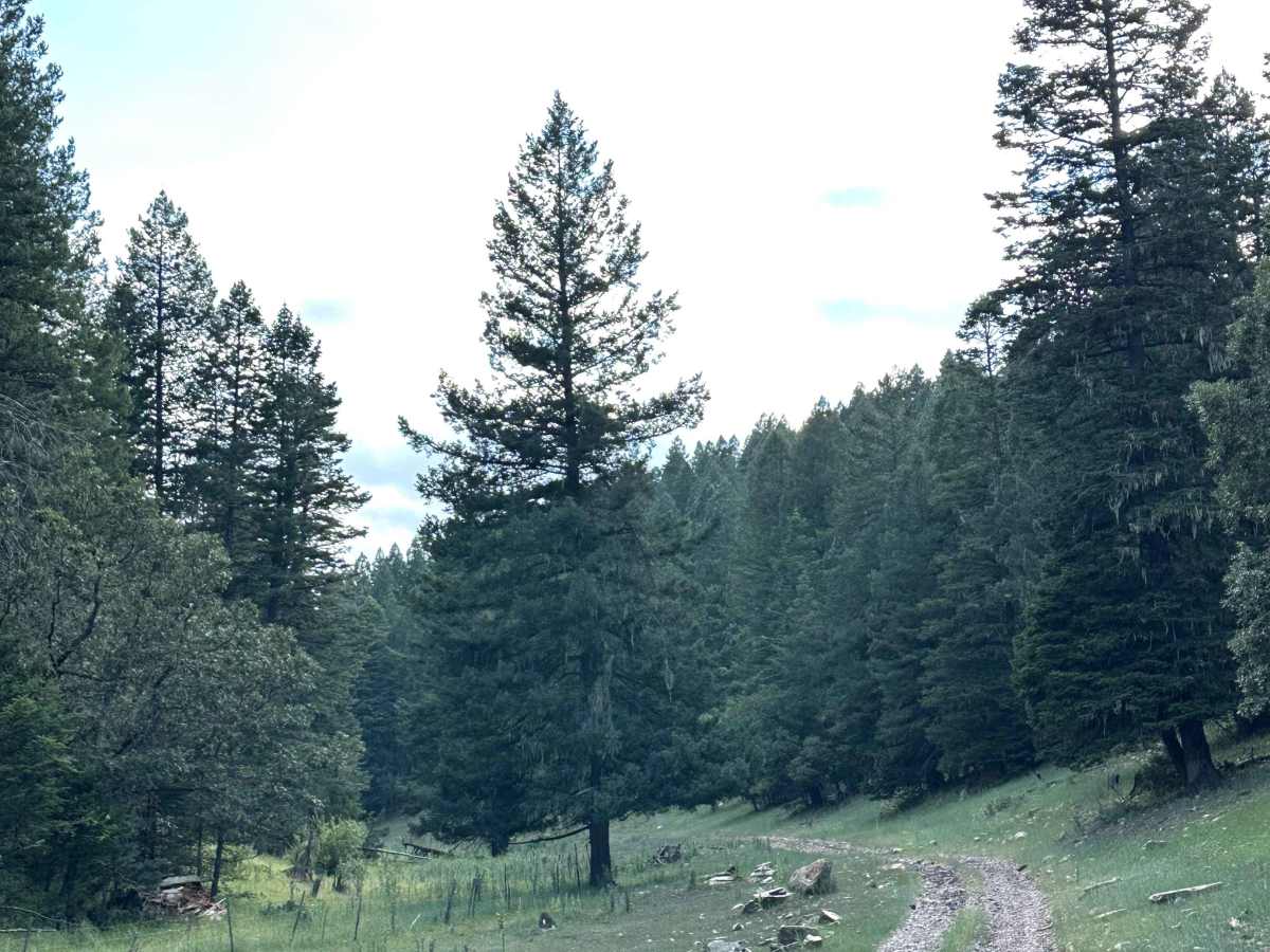 Perk Canyon photo 2