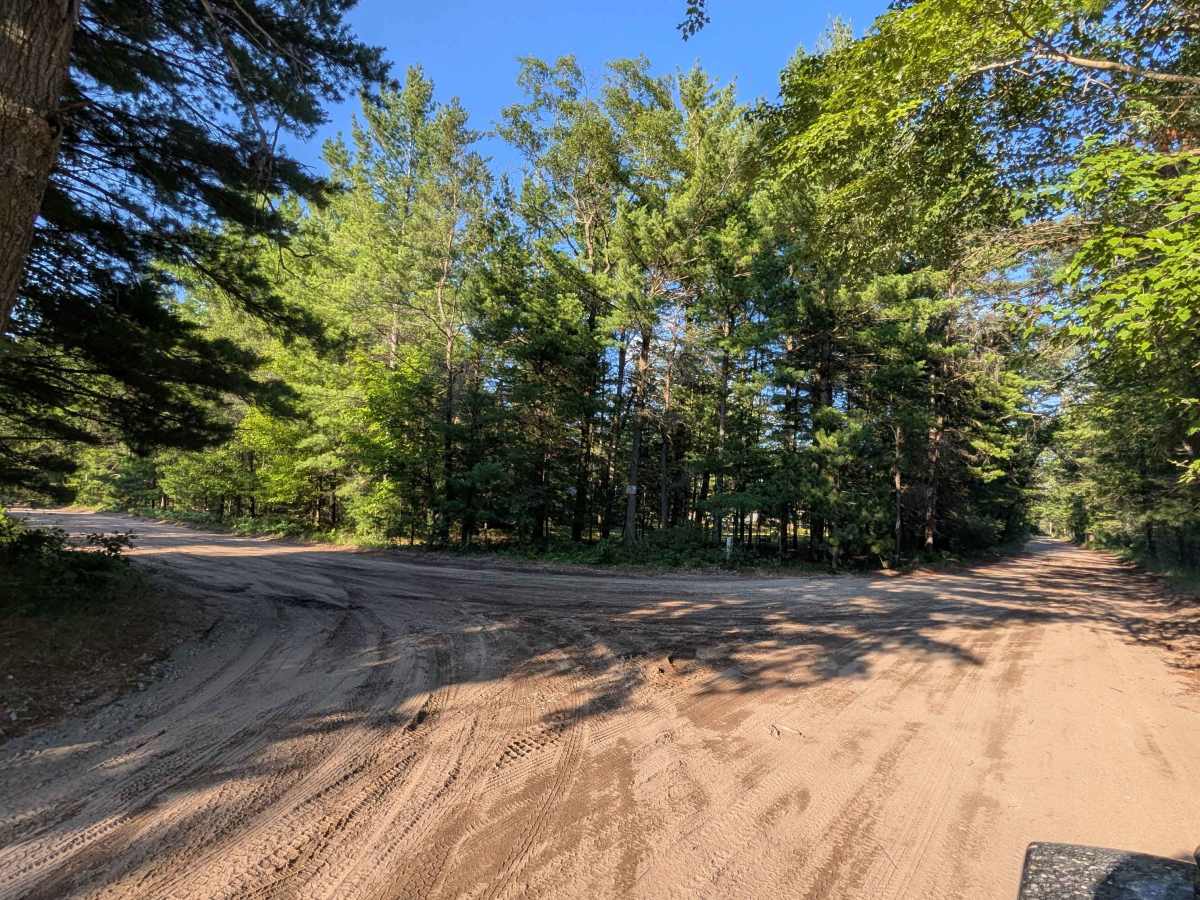 Michigan Road / Jose Road photo 6