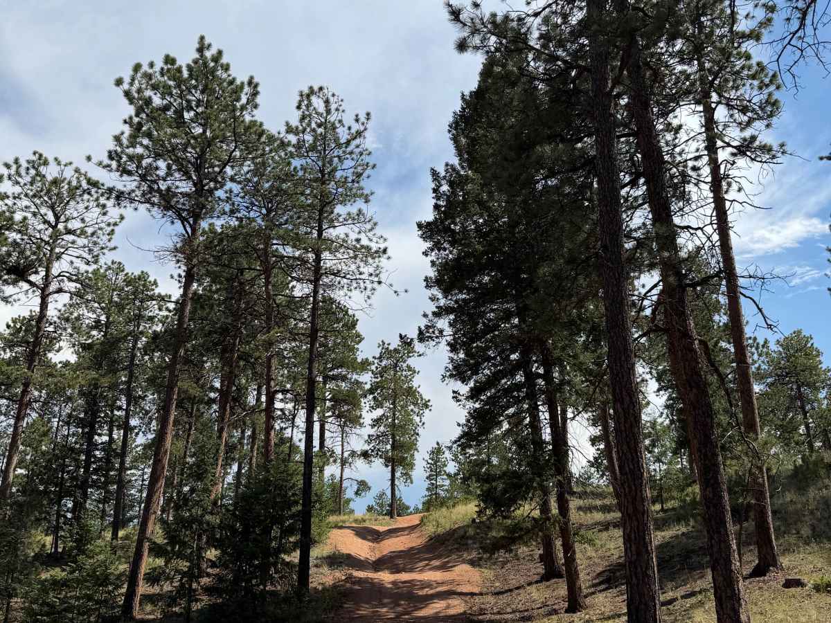 Lower Johns Gulch Road trail photo
