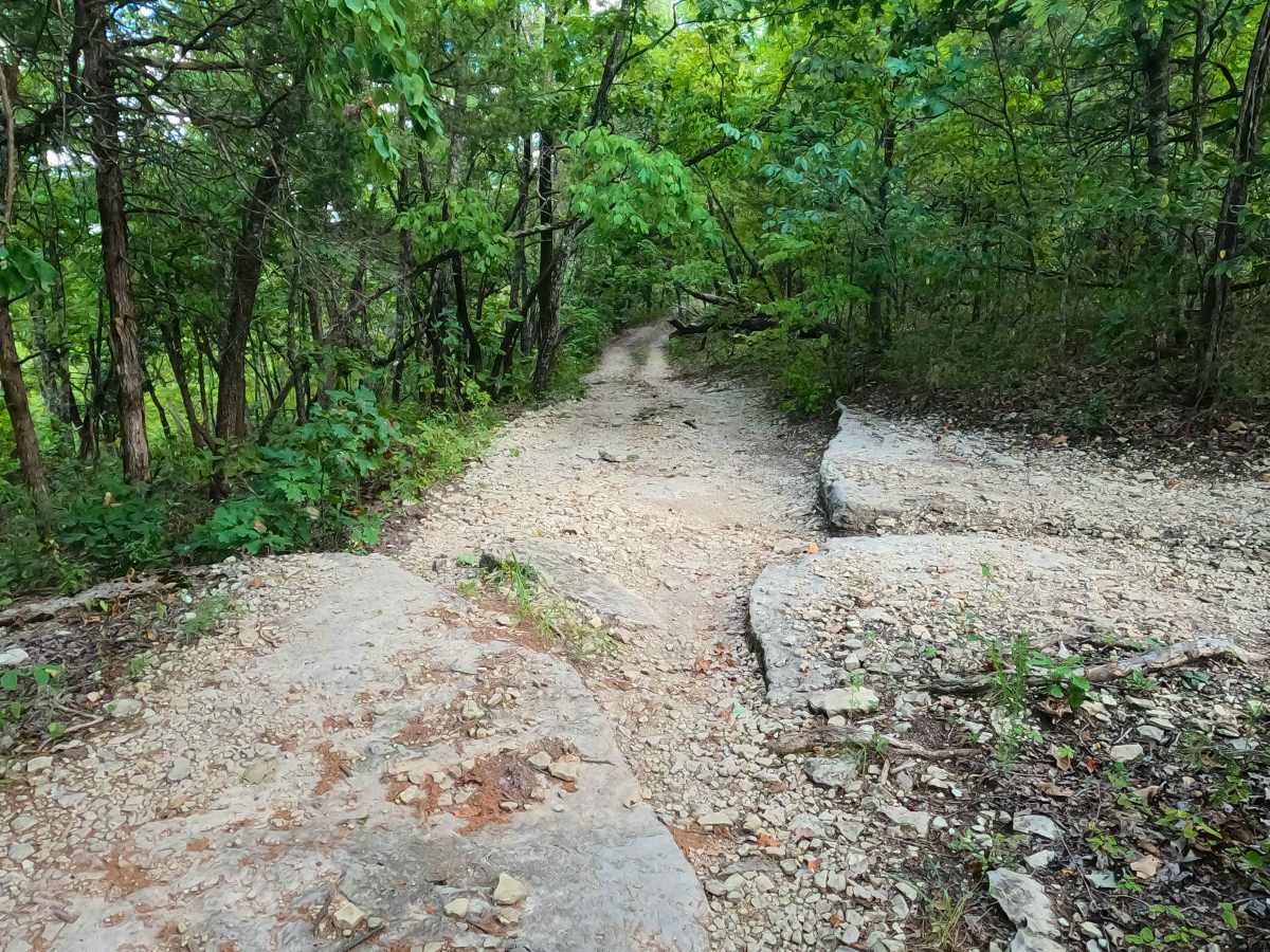 Pet Hollow - FS 507A photo 2