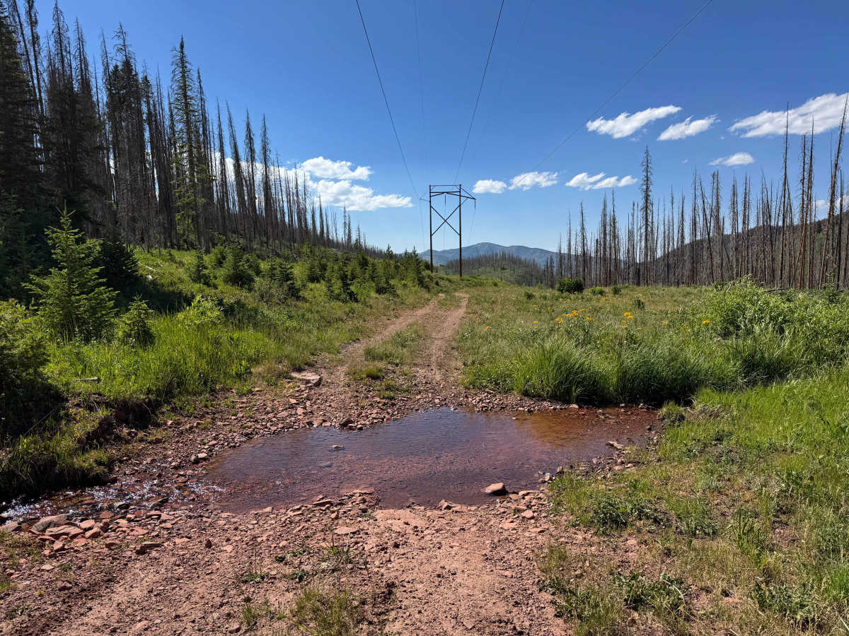 FS 431 trail photo