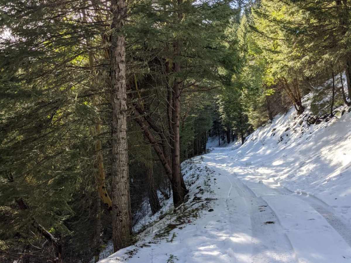 Long Way to Little Applegate River photo 2