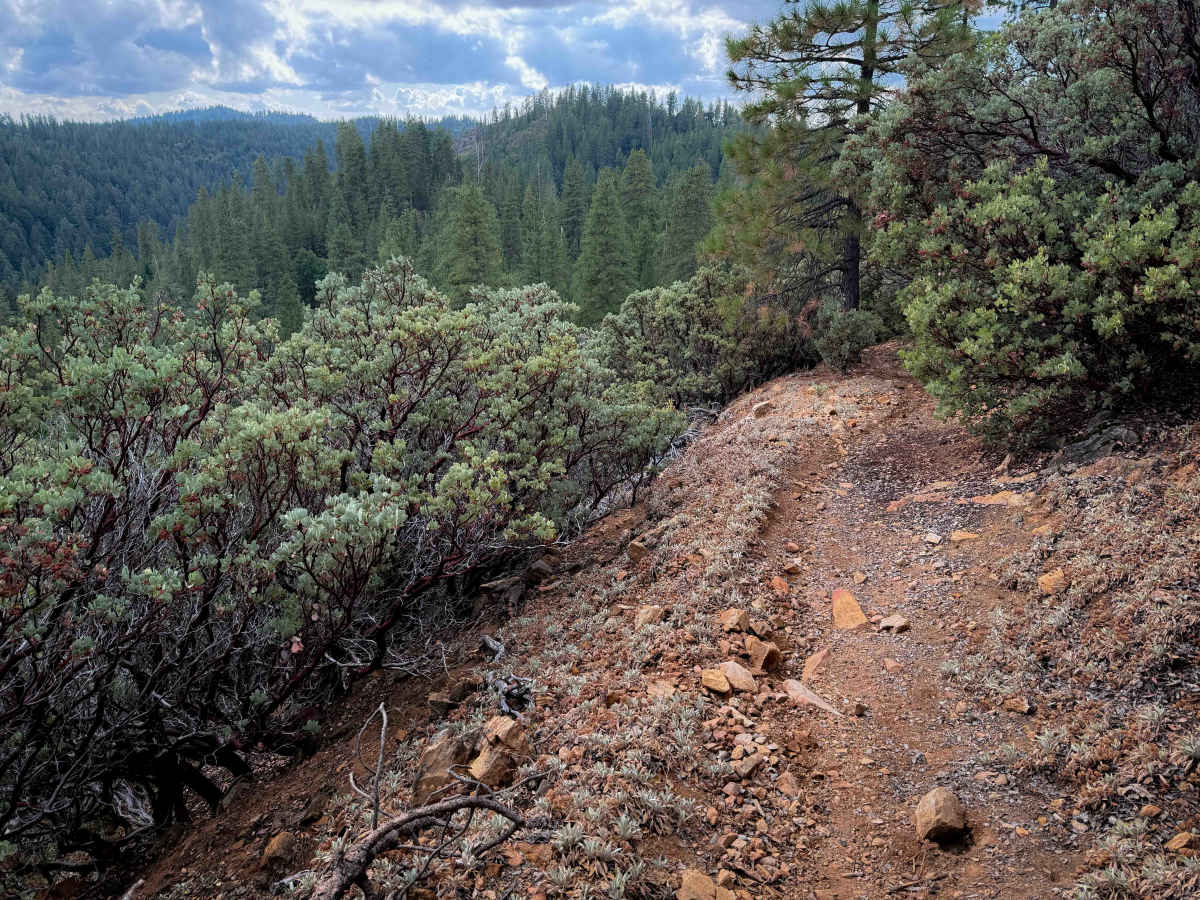 15EV61  trail photo