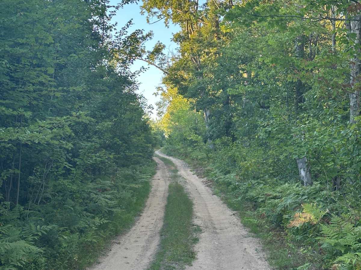 Dunsmore Cutover photo 2