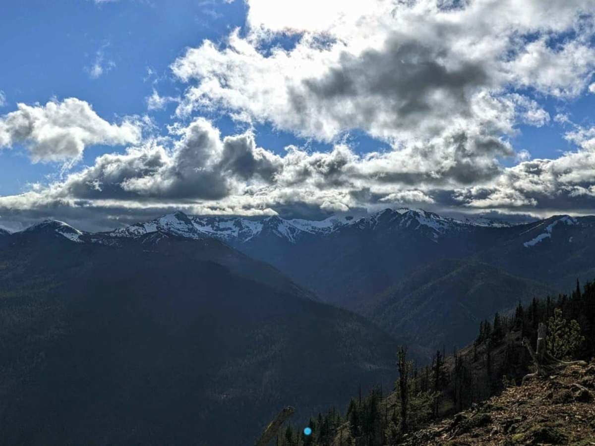 Timberwolf Mountain - NF1500-190 trail photo