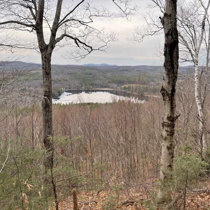 Near Adams Mountain Trail